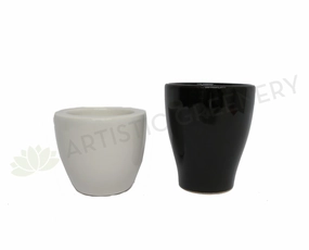 Ceramic Small Pot - White / Black outdoor greenery  