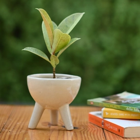 Ceramic Small Tripod Style Pot hanging green plant  