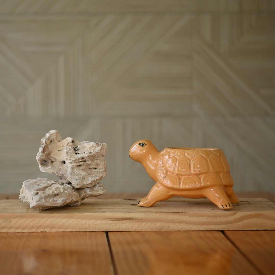 Ceramic Standing Tortoise Pot