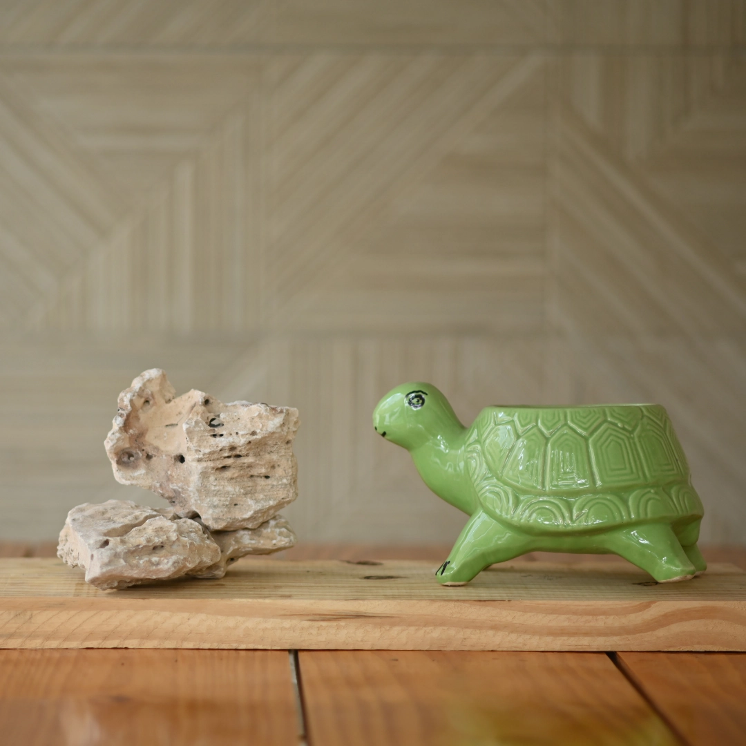 Ceramic Standing Tortoise Pot