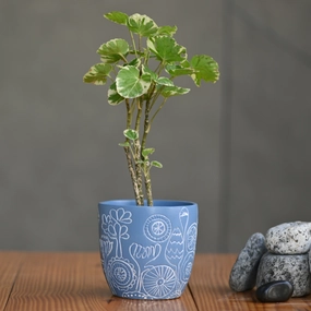 Ceramic Tribal Print Pot (Blue) shade perennial  