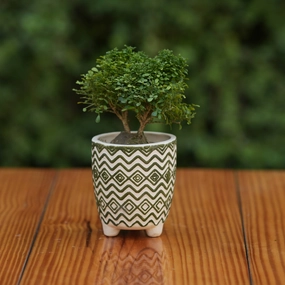 Ceramic Unique Green and White Zigzag Pattern Planter For Plants hanging green plant  