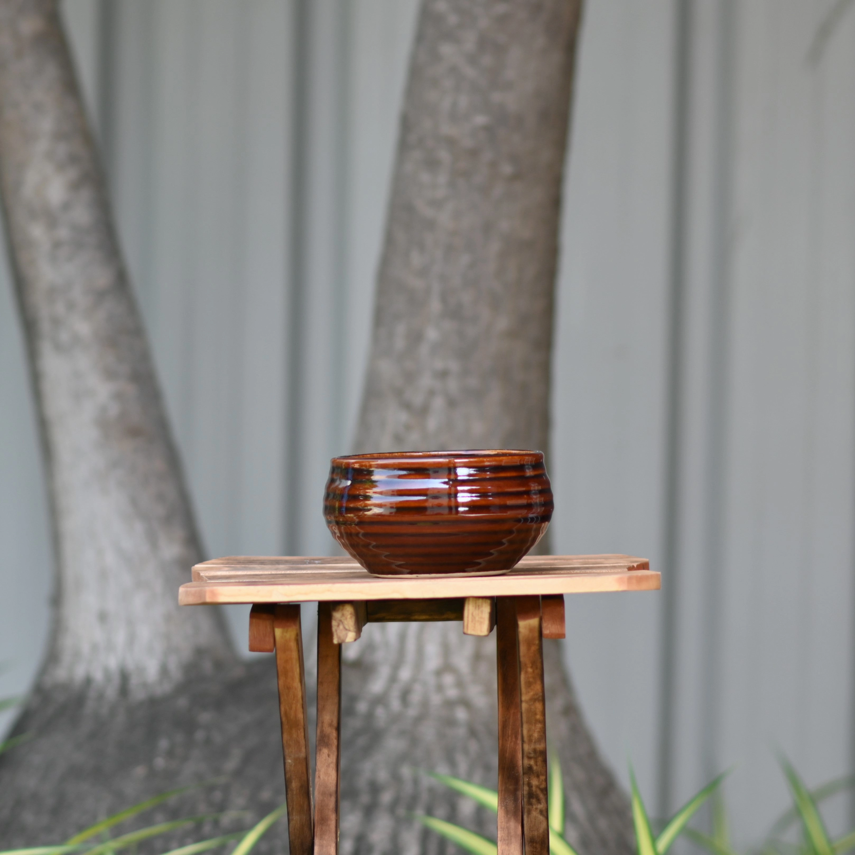 Ceramic Venus Bonsai Pot/Planter, Brown