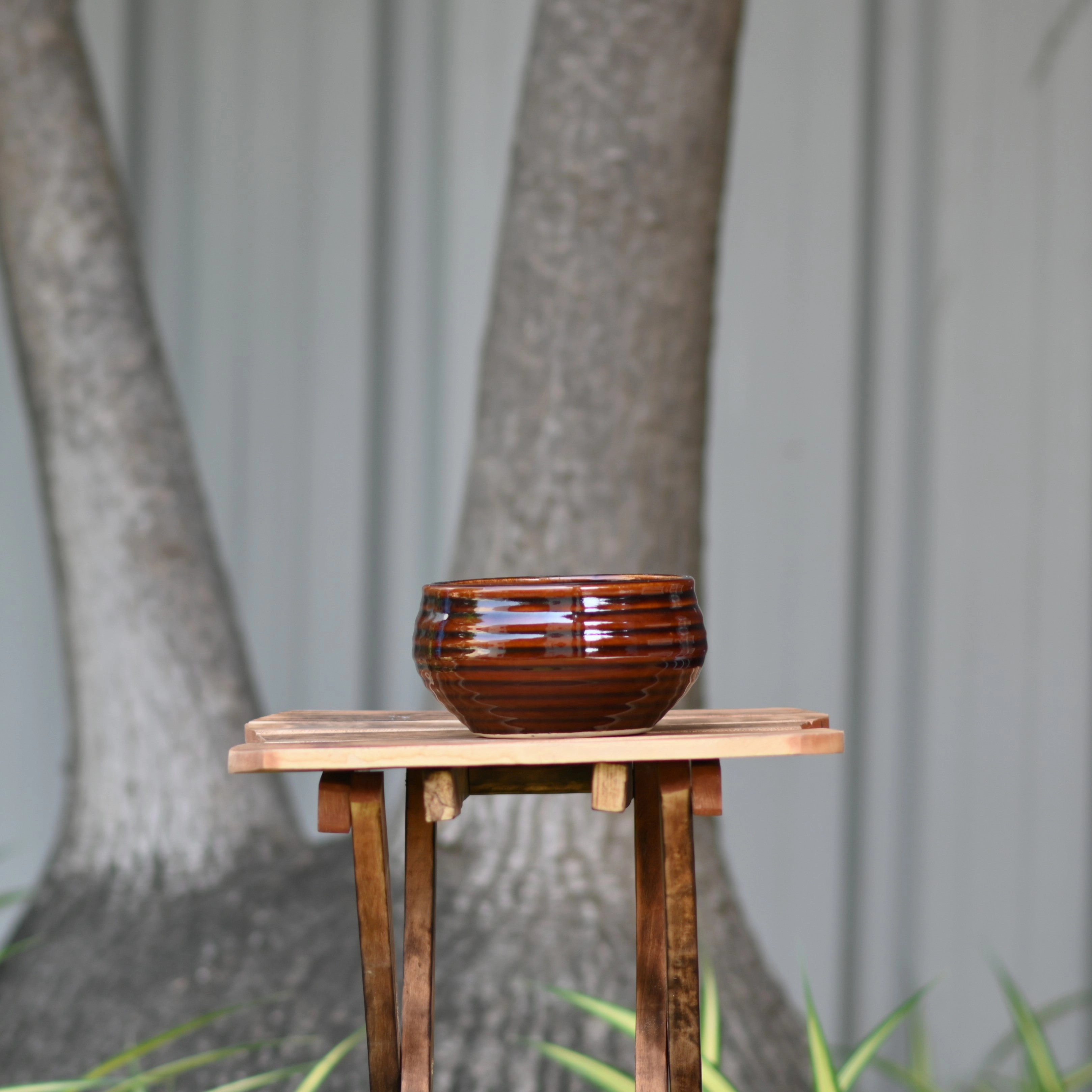 Ceramic Venus Bonsai Pot/Planter, Brown