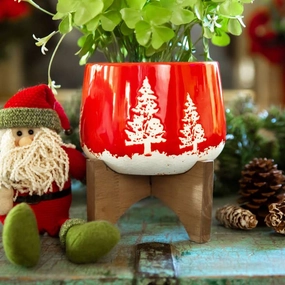 Ceramic Winter Planter on Wood Stand plant seeds  