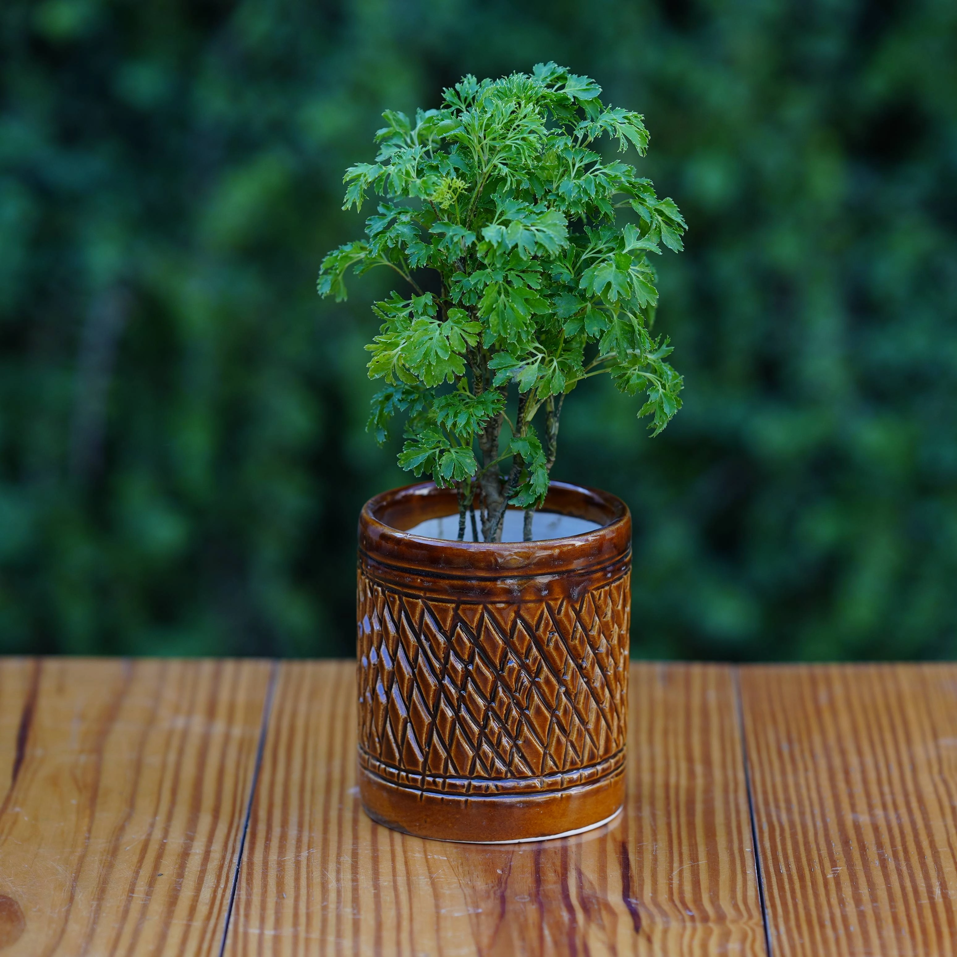 Ceramic Woven-Texture Planter/ Pot For Plants