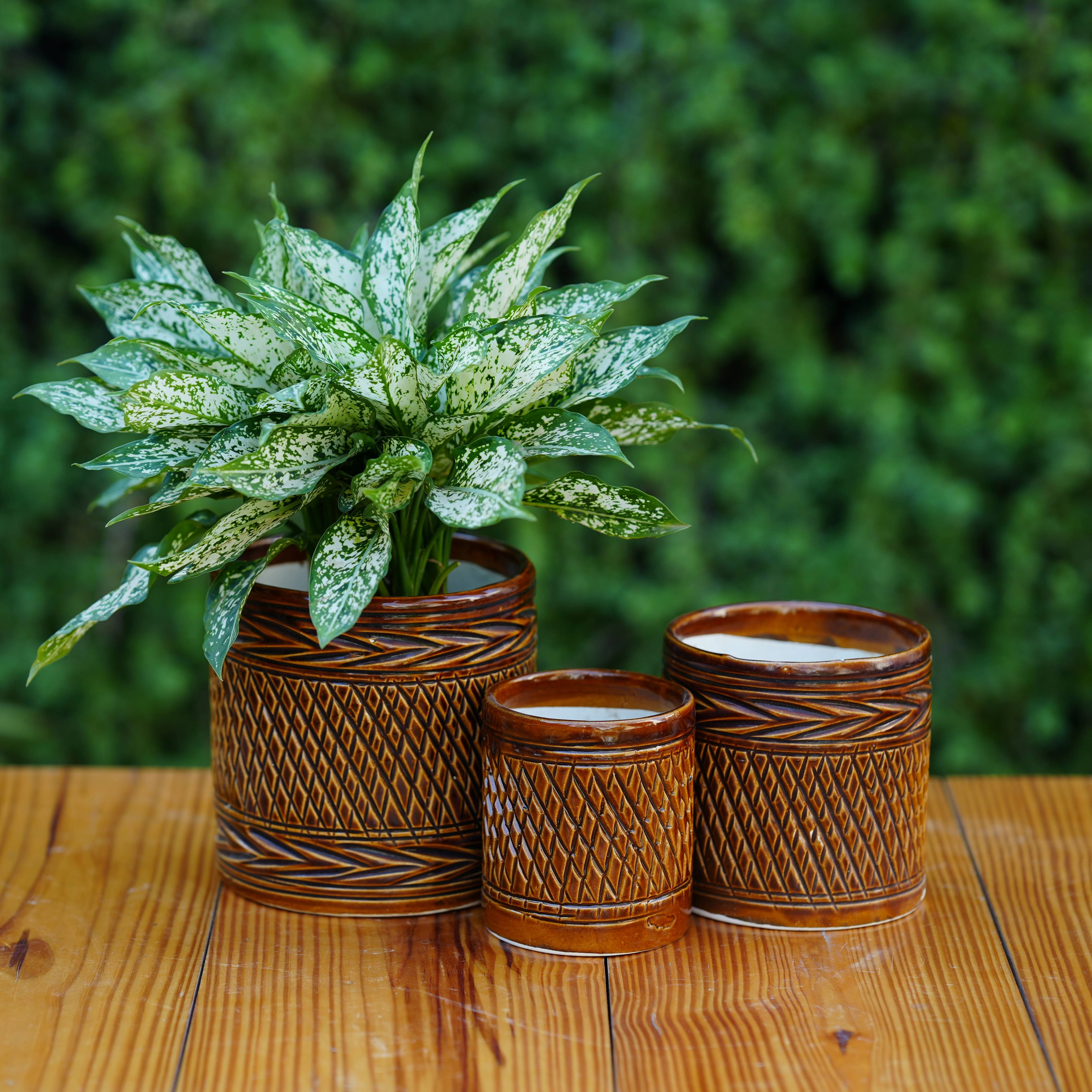 Ceramic Woven-Texture Planter/ Pot For Plants cactus succulent plant  