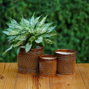Ceramic Woven-Texture Planter/ Pot For Plants cactus succulent plant  