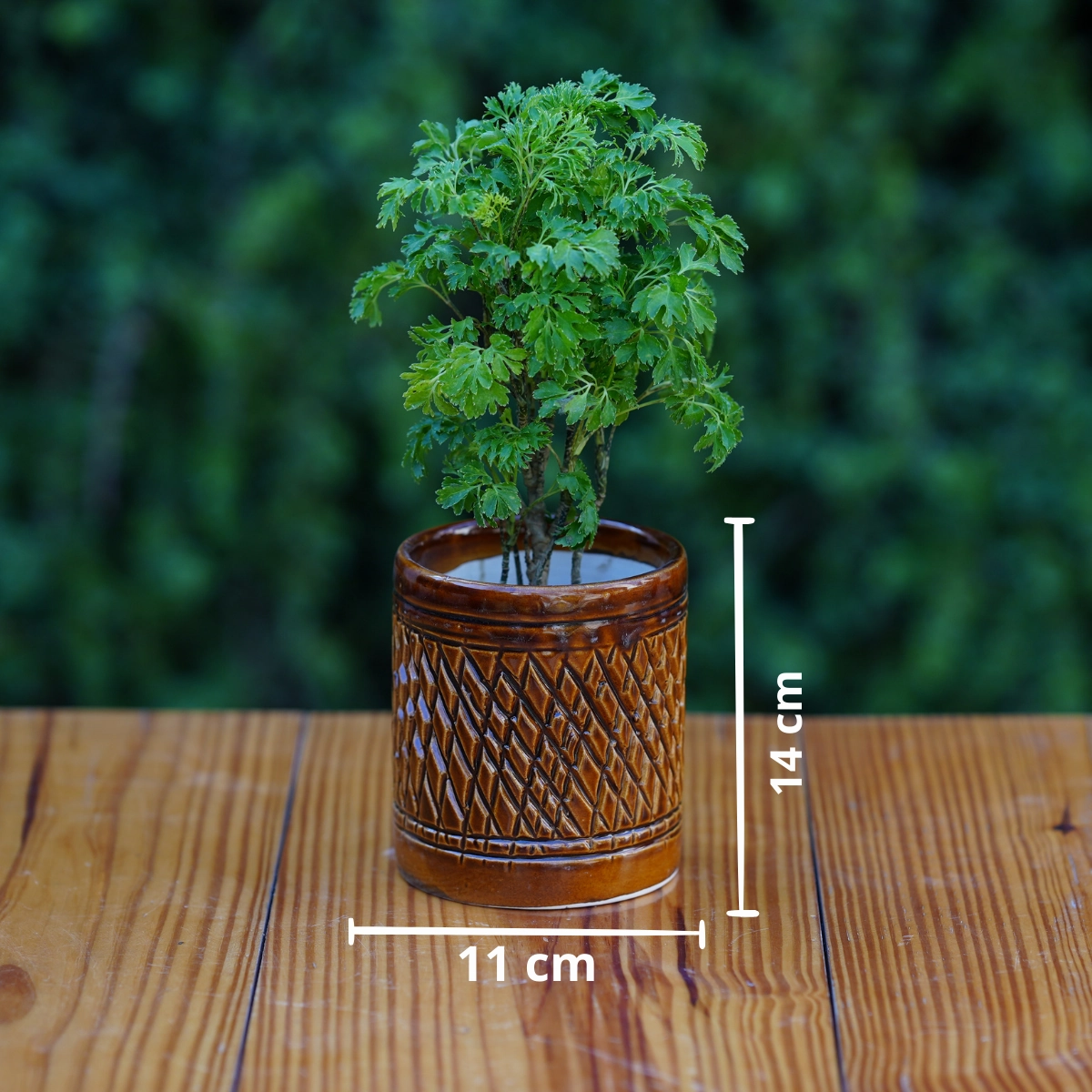 Ceramic Woven-Texture Planter/ Pot For Plants