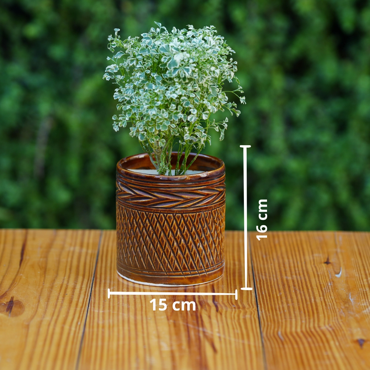 Ceramic Woven-Texture Planter/ Pot For Plants
