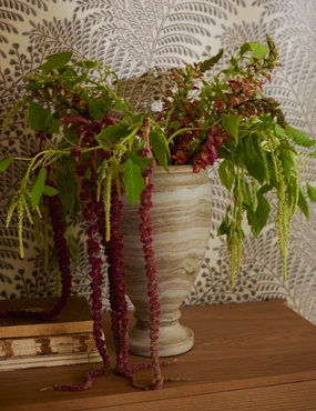 Cesar Vase mini ornamental plant  