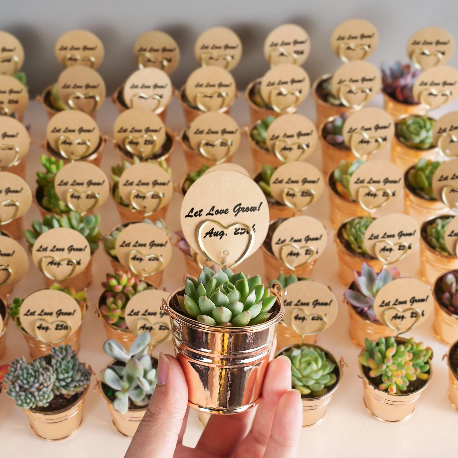 Champagne Gold Metal  Bucket Succulent Favors (Tag Custom Supported)