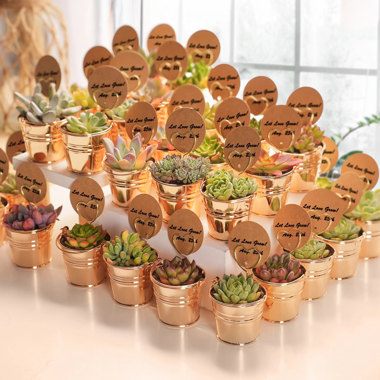 Champagne Gold Metal  Bucket Succulent Favors (Tag Custom Supported)