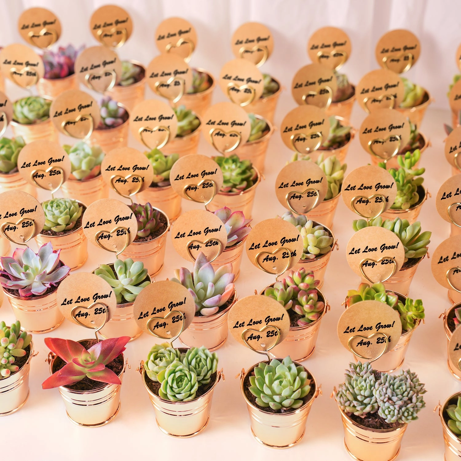 Champagne Gold Metal  Bucket Succulent Favors (Tag Custom Supported)