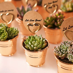 Champagne Gold Metal  Bucket Succulent Favors (Tag Custom Supported) mini ornamental plant  