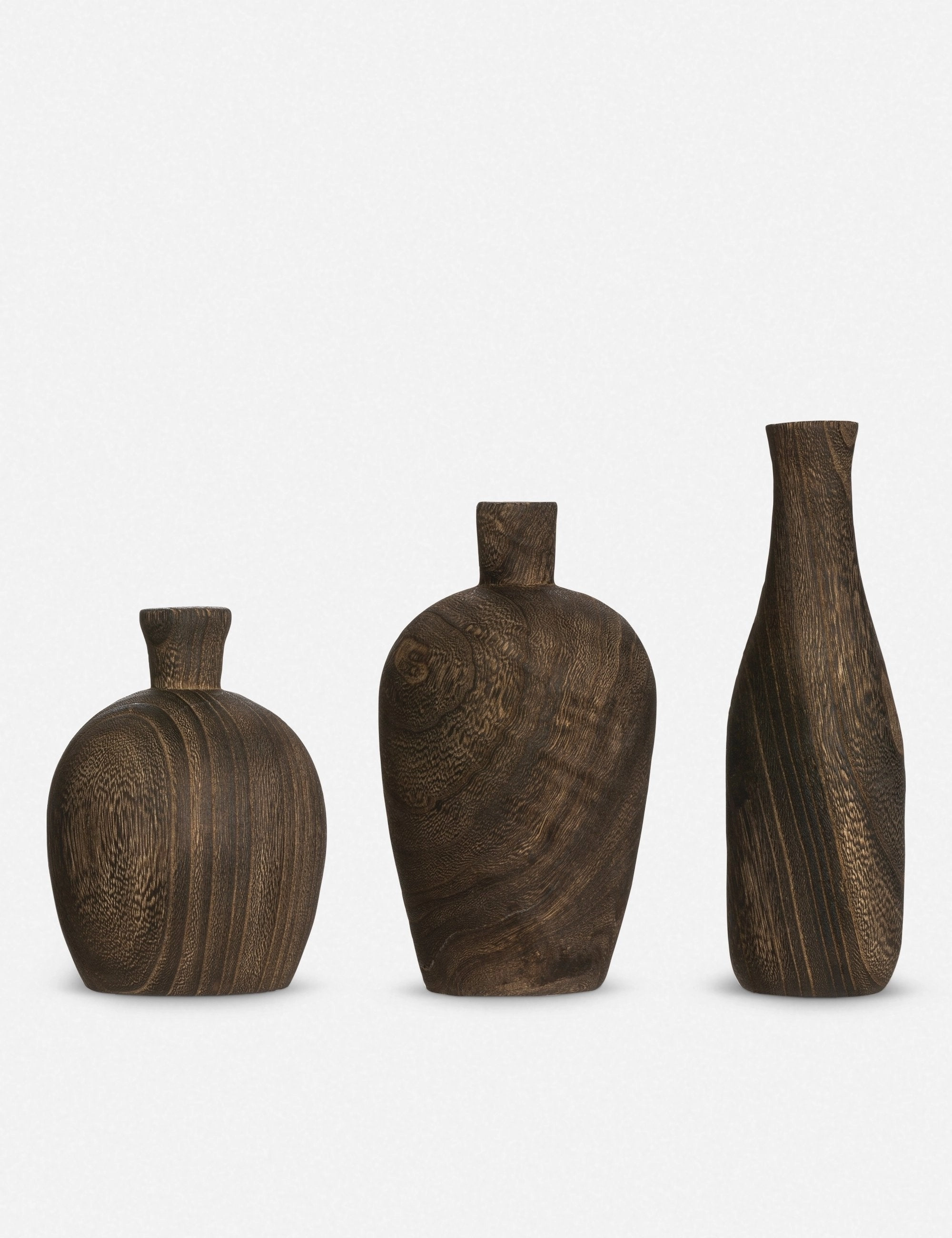 Charlynn Wood Vases (Set of 3) mini ornamental plant  