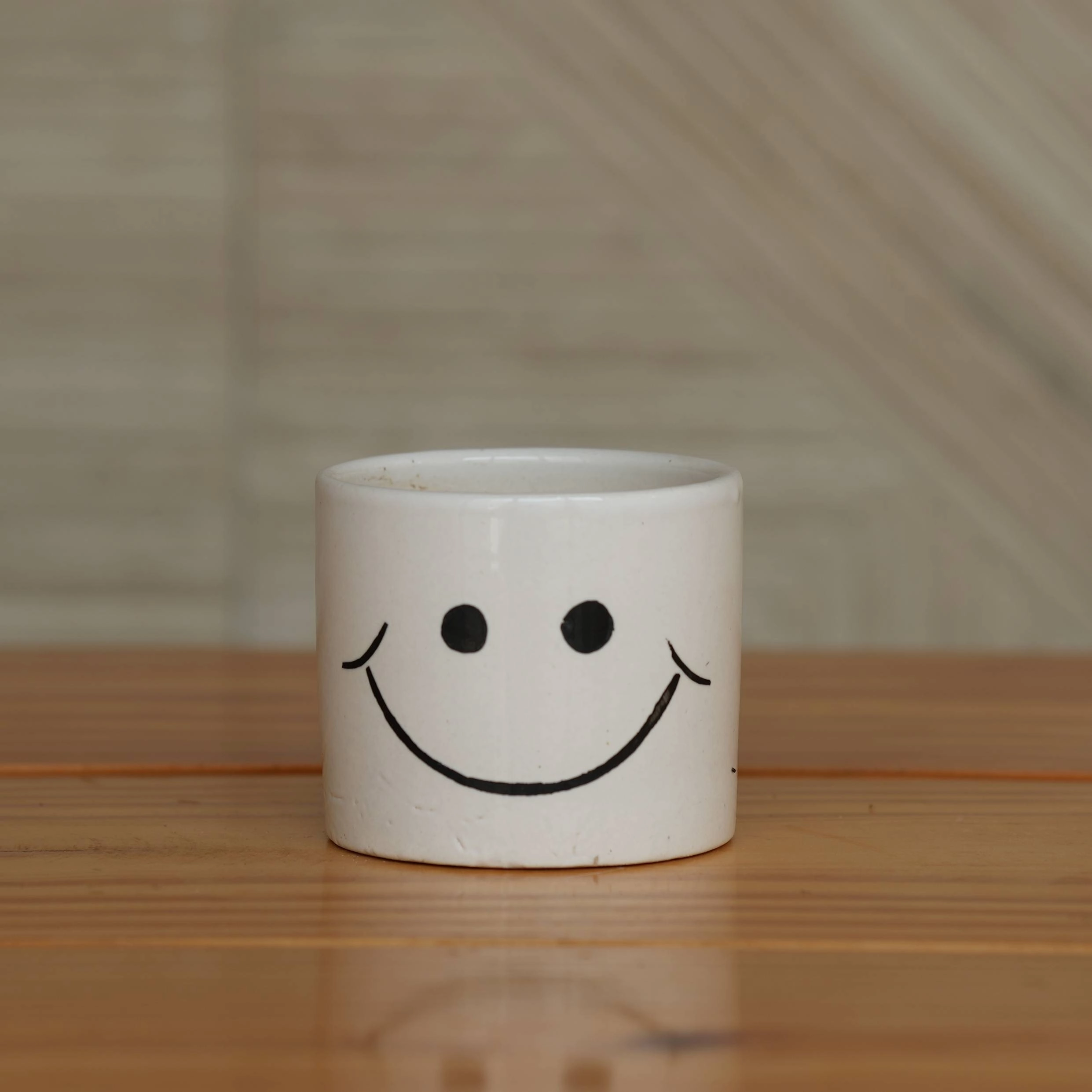 Cheerful Smiley Face Ceramic Planter for Plants