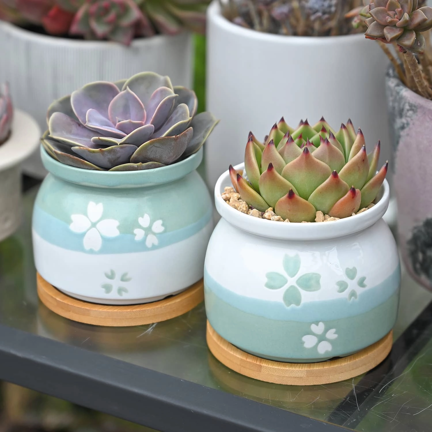 Cherry Blossoms Planter Pots