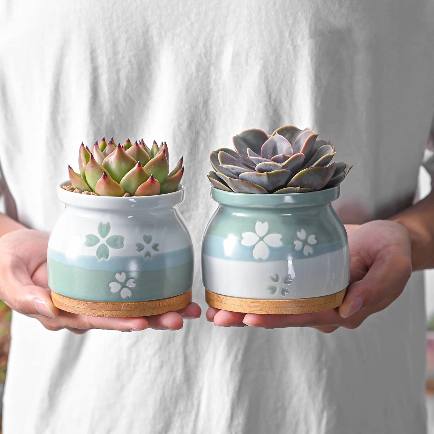 Cherry Blossoms Planter Pots