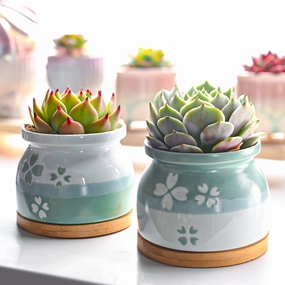 Cherry Blossoms Planter Pots mini ornamental plant  