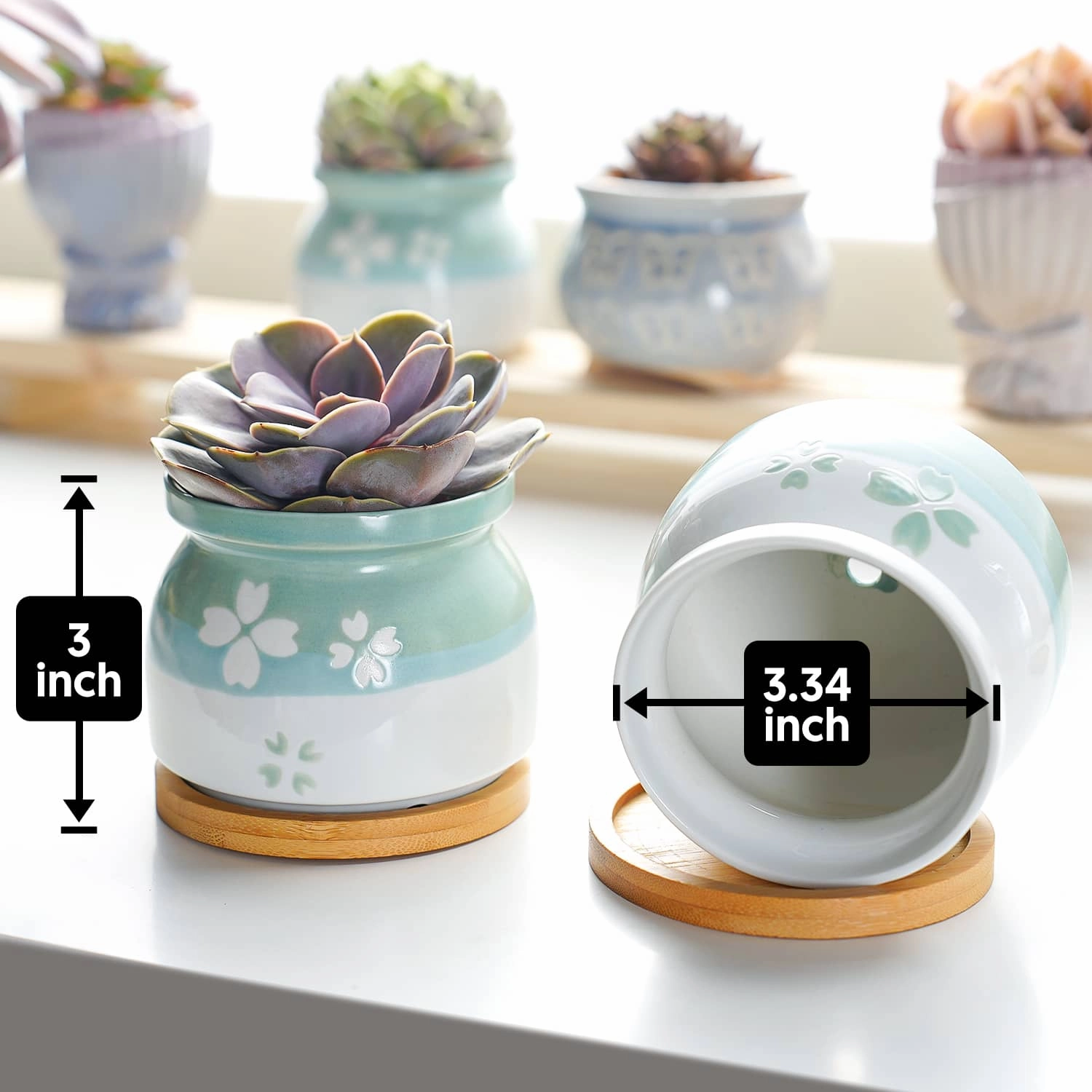 Cherry Blossoms Planter Pots