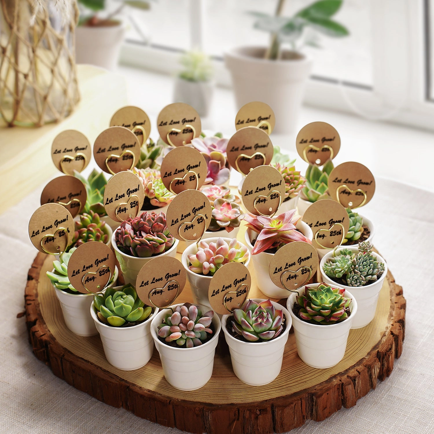 Chic White Ceramic Handheld Cup Succulent Favors (Tag Custom Supported)