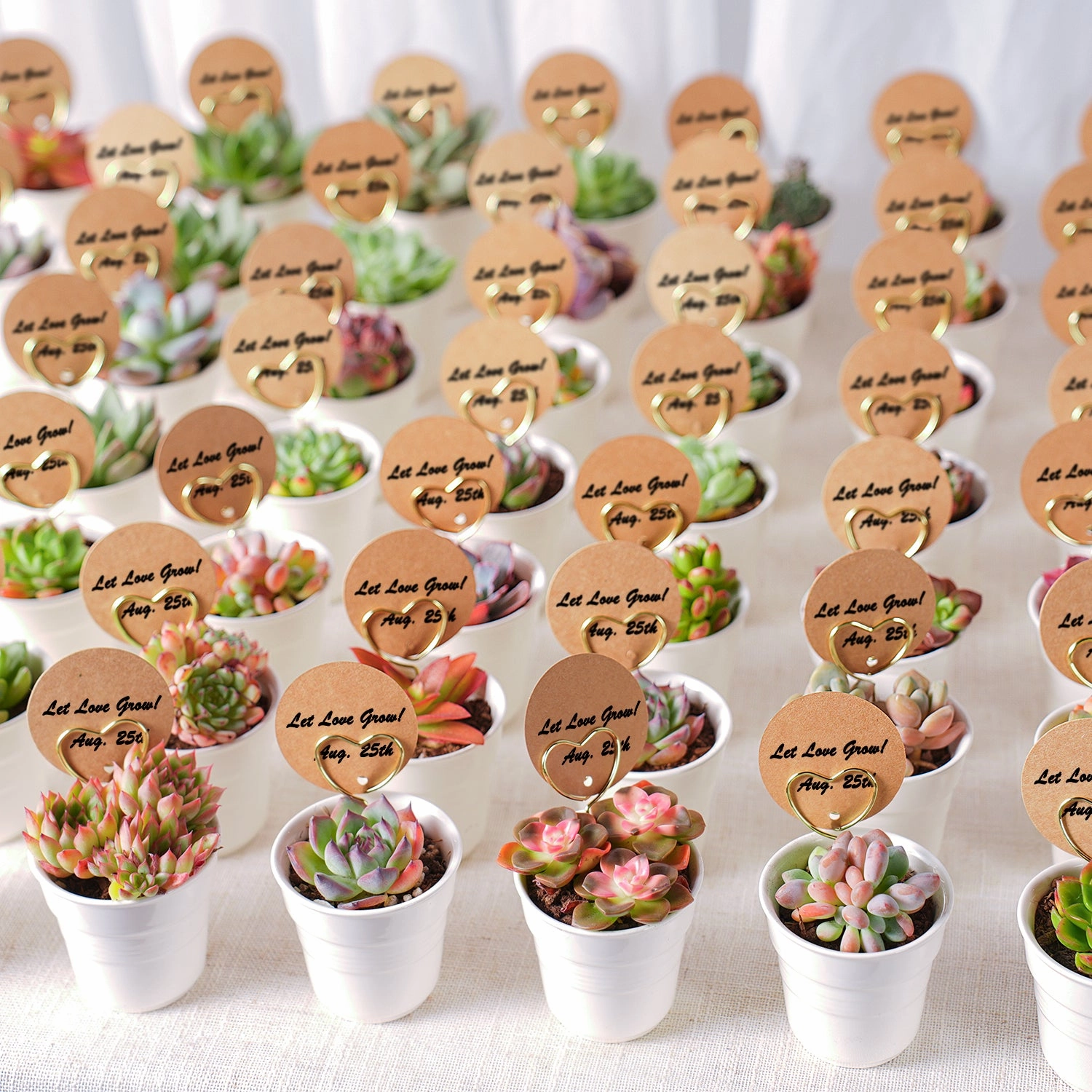 Chic White Ceramic Handheld Cup Succulent Favors (Tag Custom Supported)