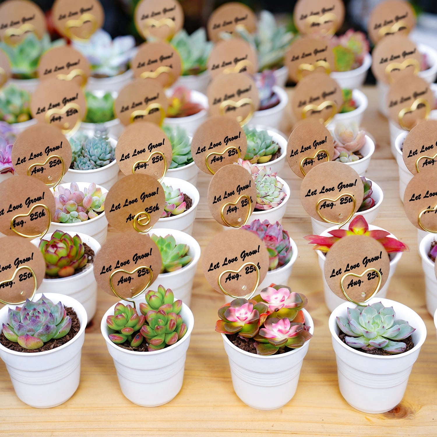 Chic White Ceramic Handheld Cup Succulent Favors (Tag Custom Supported)