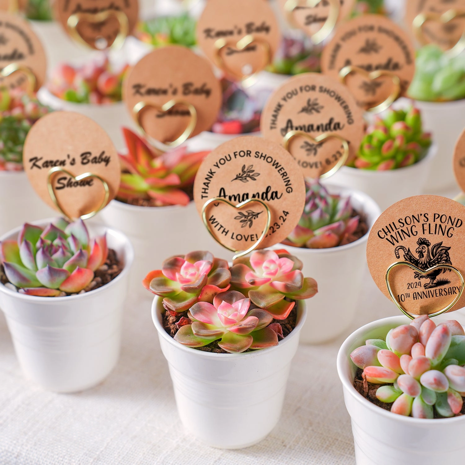 Chic White Ceramic Handheld Cup Succulent Favors (Tag Custom Supported) mini ornamental plant  