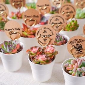 Chic White Ceramic Handheld Cup Succulent Favors (Tag Custom Supported) mini ornamental plant  