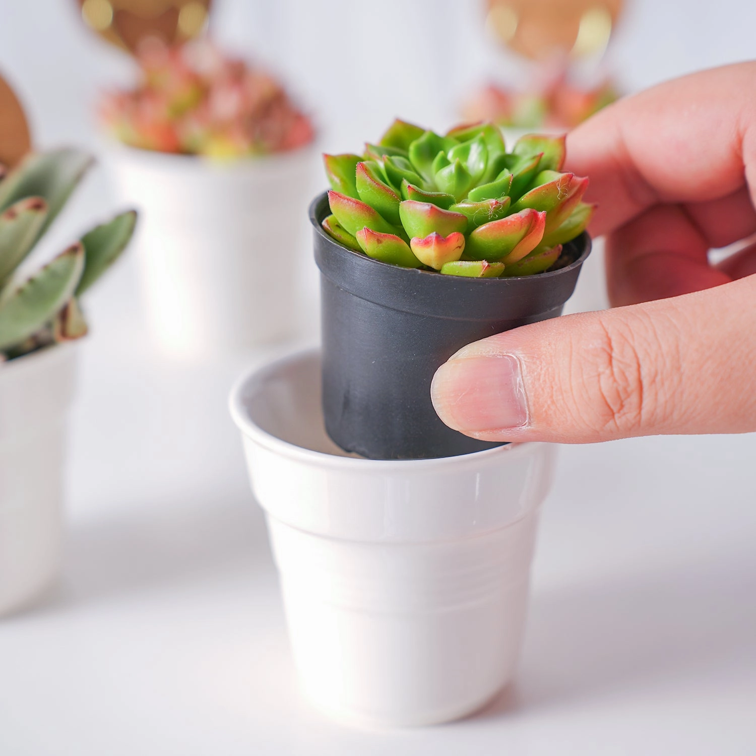 Chic White Ceramic Handheld Cup Succulent Favors (Tag Custom Supported)