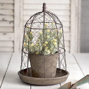 Chicken Wire Cloche With Pot & Saucer outdoor greenery  