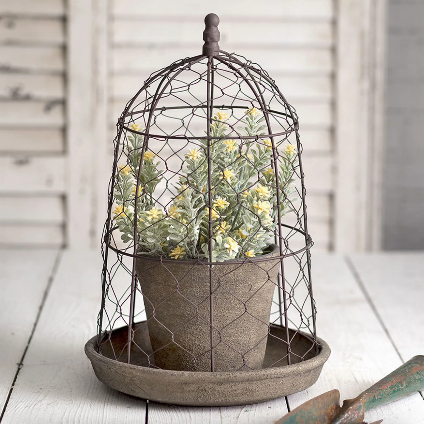 Chicken Wire Cloche With Pot & Saucer outdoor greenery  