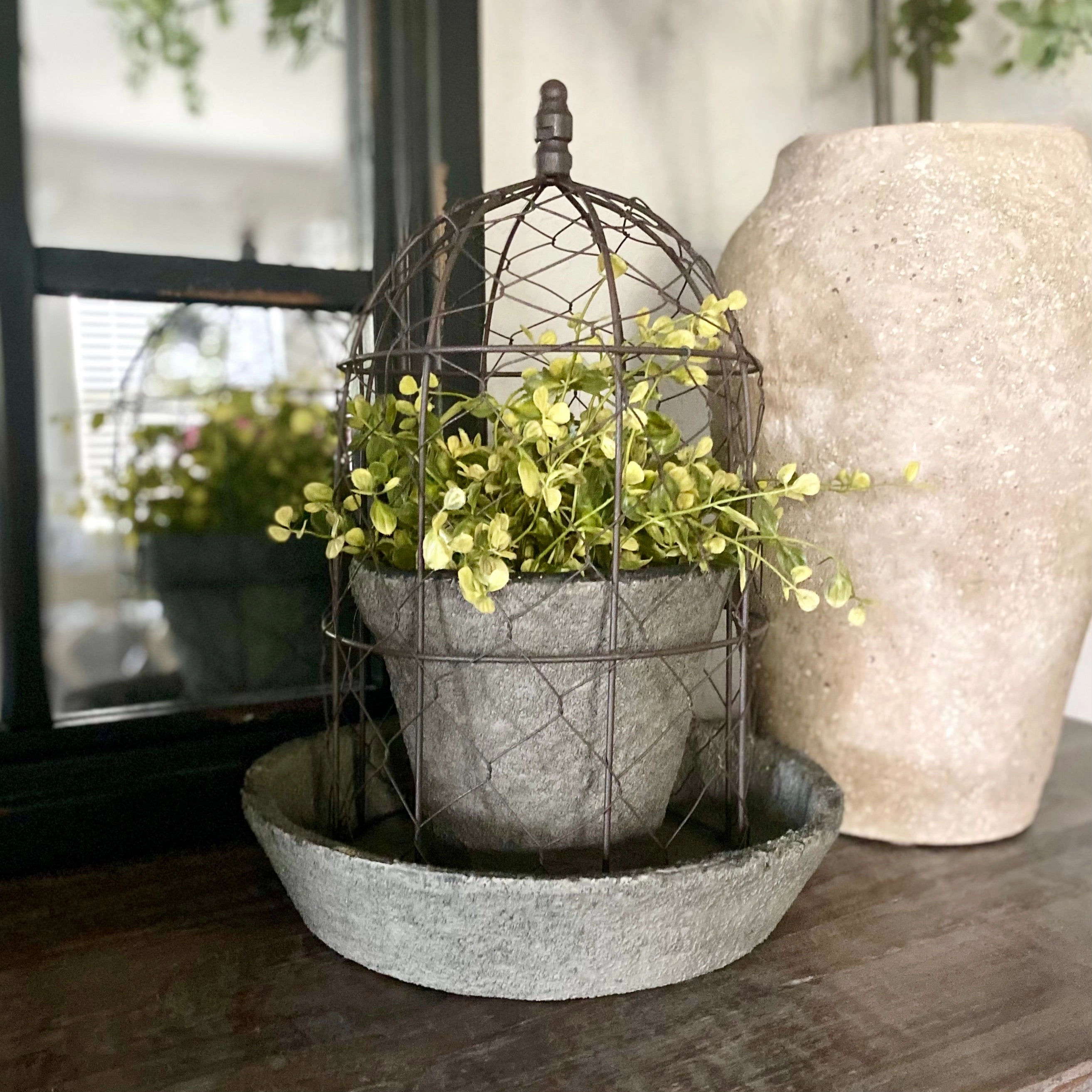 Chicken Wire Cloche With Pot & Saucer