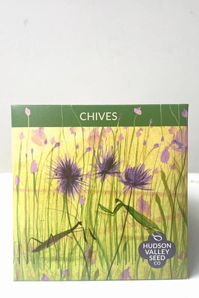 Chive Seeds Art Pack decorative flowerpot  
