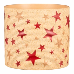 Christmas Star Indoor Ceramic Cover Pot Nature Star (828) tall green plant  