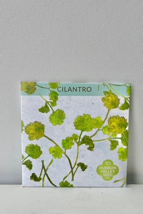 Cilantro Seeds Art Pack decorative flowerpot  