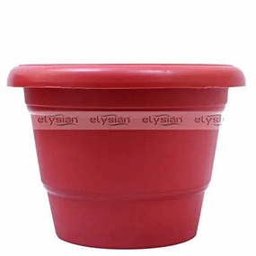 Circular Shape Plastic Pot (13 cms), Brown hanging green plant  