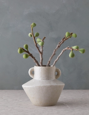 Ciro Vase mini ornamental plant  