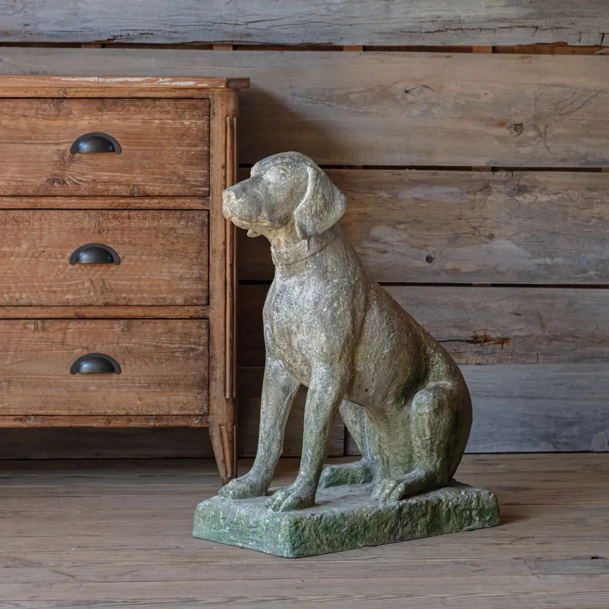 Classic Hound Statue dried flowers  