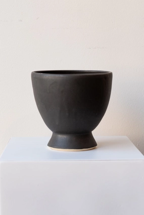 Classic Compote Matte Black dried green plant  