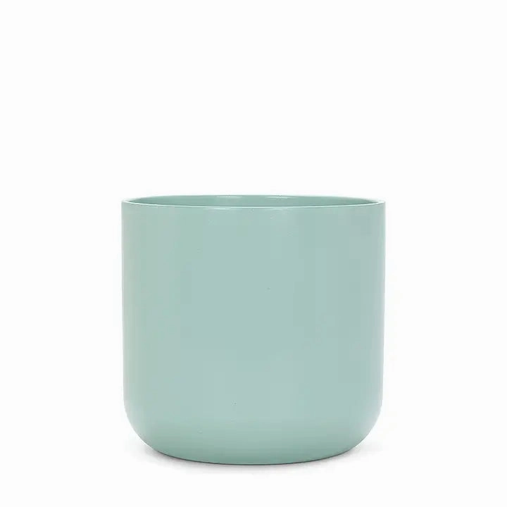 Classic Planter Medium plant seeds  