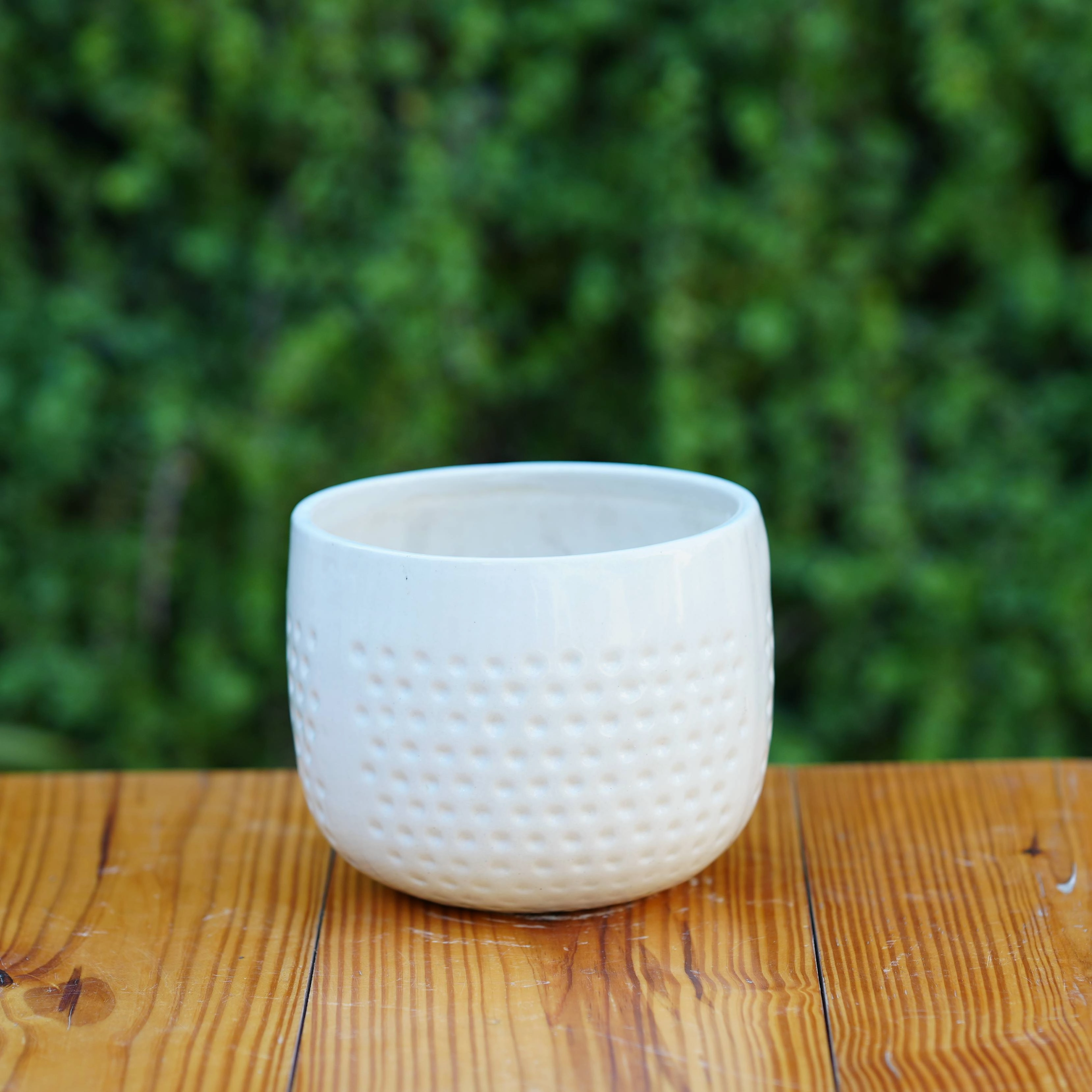 Classic White Ceramic Planter with Dimpled Texture