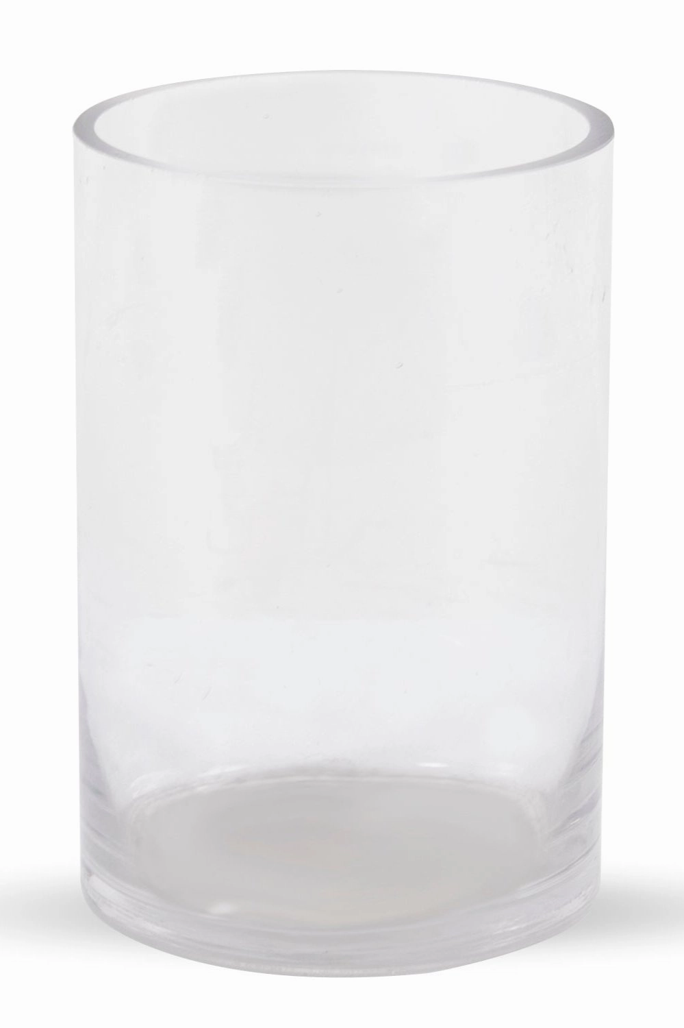 Clear Vase 6"h x 4" Cylinder Vase dried green plant  
