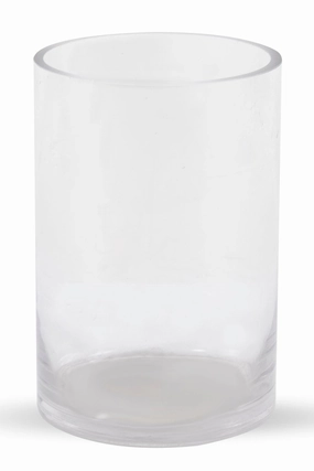 Clear Vase 6"h x 4" Cylinder Vase dried green plant  