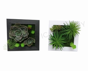 CLEARANCE - ACC0065 3D Wall Art 15x15cm mini ornamental plant  