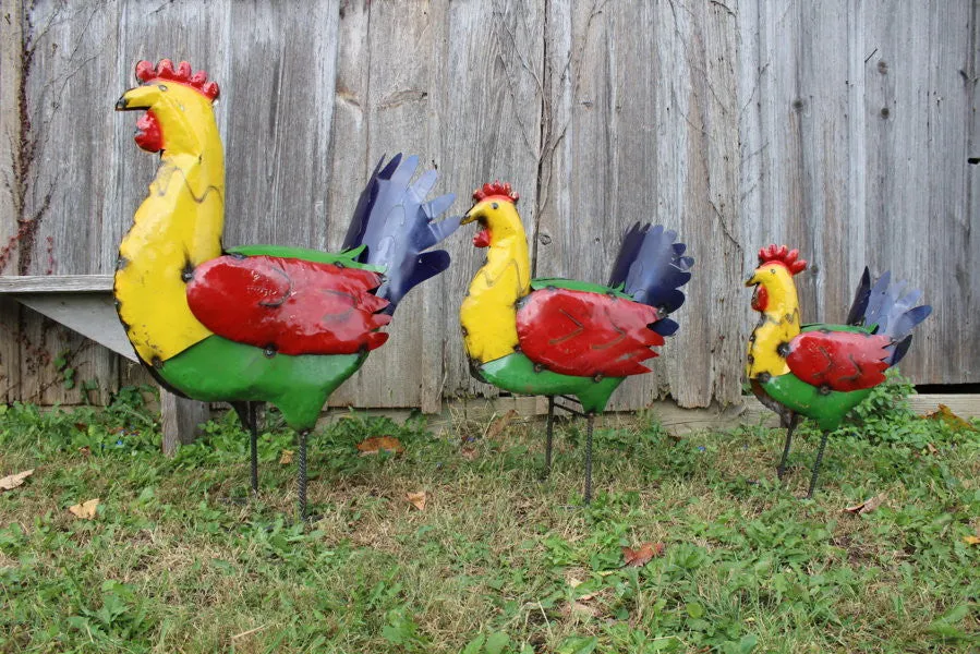Colorful Hen decorative plants  
