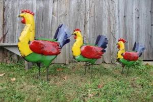 Colorful Hen decorative plants  