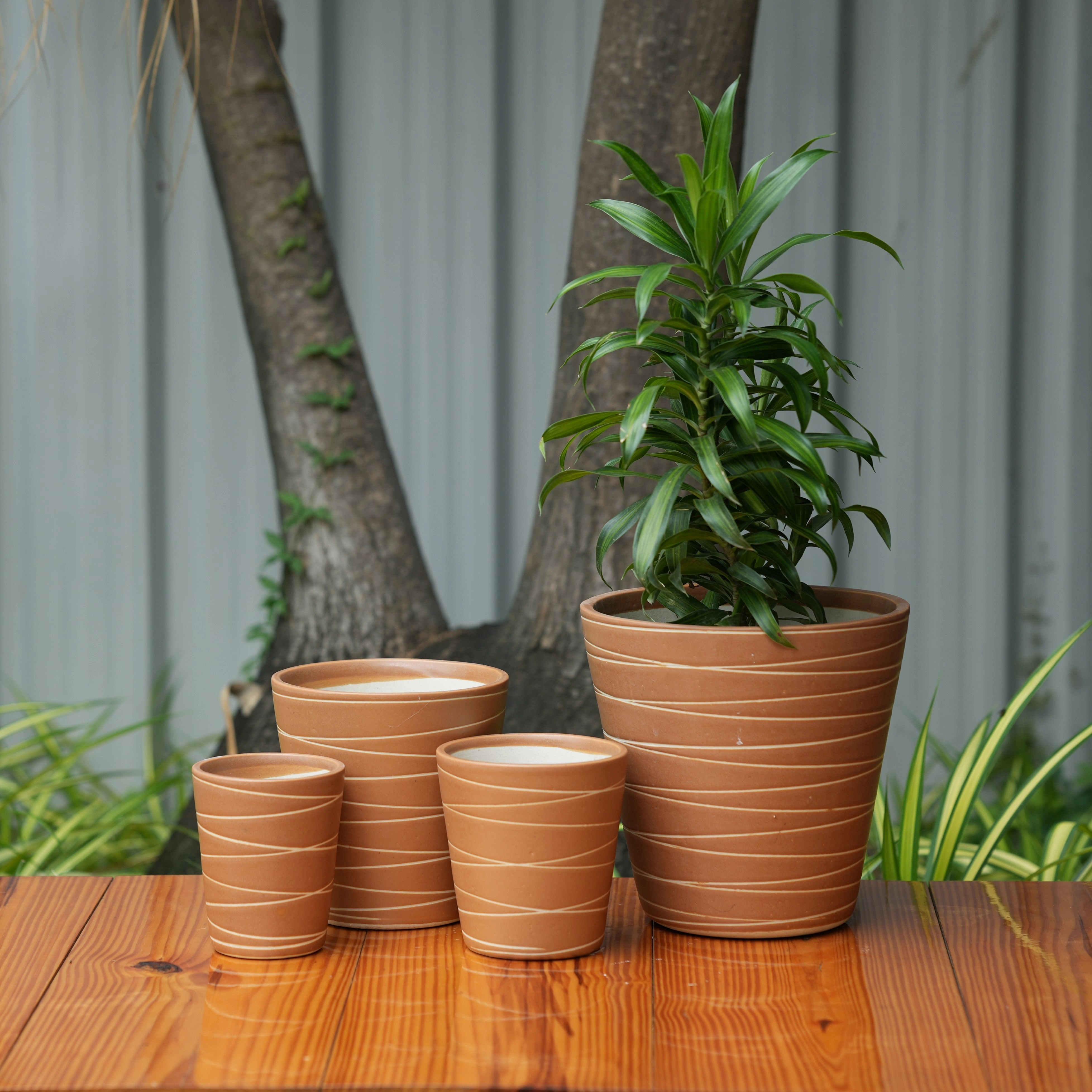 Cone Shape White Stripe Design Planter (Brown) classic flowerpot  