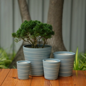 Cone Shape White Stripe Design Planter (Grey) shade perennial  